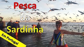 A FAMOSA PESCA DA SARDINHA EM PORTUGAL [upl. by Kathi]