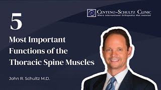 Thoracic Spine Muscles 5 Most Important Functions of the Thoracic Spine Muscles [upl. by Clein]