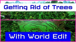 Minecraft World Edit  How To Get Rid of Trees [upl. by Veal902]