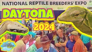 Daytona National Reptile Breeders Expo 2024 Full Walkthrough [upl. by Onitsuj]