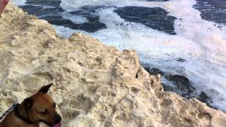 Beach Liquefaction Sink Hole  Inskip Point  Rainbow Beach 2 of 3 [upl. by Benia]