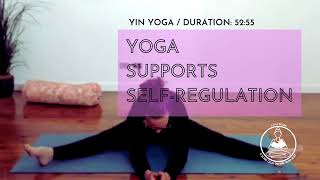 Yoga Supports SelfRegulation I Yin Yoga I 1Hour [upl. by Enohsal]