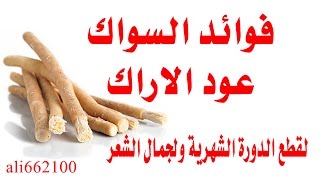 فوائد السواك عود الاراك  Salvadora persica  Miswak stick [upl. by Anaj]