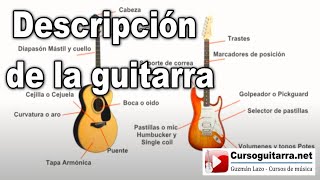 🎸 Descripción de la guitarra  Lección 8 [upl. by Colyer284]