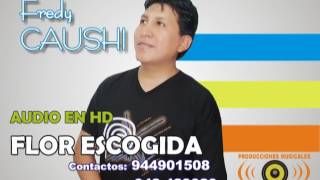 FREDY CAUSHI  FLOR ESCOGIDA [upl. by Shedd]