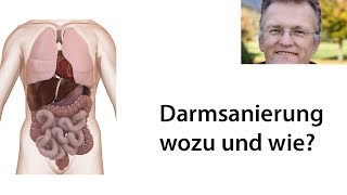 Darmsanierung  11 Tipps wie Sie Ihren Darm selbst sanieren können [upl. by Yelats]