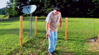 Training a Chihuahua dog [upl. by Dyer]