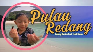 Redang Island  Redang Marine Park Teluk Dalam Part 1 [upl. by Ailegna]