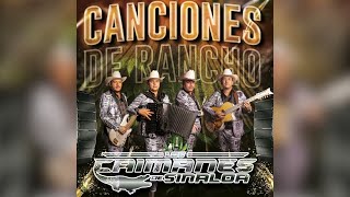 Los Caimanes De Sinaloa quotCanciones De Ranchoquot Álbum Completo 2022 [upl. by Dianemarie523]