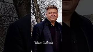 Vasile Micula De măntrebi dea mea comoară [upl. by Narrat]