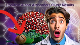 The Power of Pomegranate and Brain Health  Alzheimer’s Study Results [upl. by Benoit]