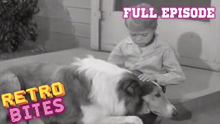 Lassie  The Puppy Story  Full Episodes 🐕 [upl. by Allemac]