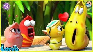 LARVA SEASON 3 EPISODE 480  583 🍟 NEST VERSION LARVA  COMICS  MINI SERIES FROM ANIMATION LARVA [upl. by Samp501]