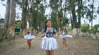 LAS GAVIOTITAS  NO SE PUEDE CONVIVIR VIDEO OFICIAL 2013 [upl. by Elag608]