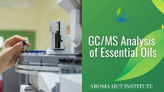 GCMS Analysis of Essential Oils  Gas Chromatography Mass Spectrometry GCMS [upl. by Michelsen34]