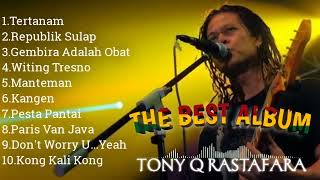 Tony Q rastafara full album [upl. by Studner]