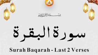 The last two verses of Surah Al Baqarah 285286 Beautiful Quran Recitation [upl. by Haidebez]