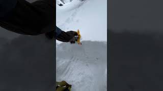 How to measure snow depth using chickens [upl. by Sikorski]