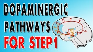 Dopaminergic Pathways [upl. by Enaujed]