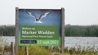 MARKER WADDEN 12 SEPT 2021 [upl. by Tanya491]