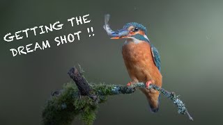 How to photograph KINGFISHERS  BUCKET LIST SHOTS [upl. by Eninotna121]