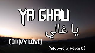 Ya Ghali  Lofi Version  Latest Arabic Song  LofiMixO Slowed x Reverb  Rola Kadri [upl. by Gavette554]