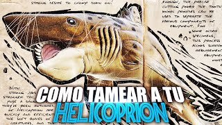 COMO TAMEAR A TU HELICOPRION  Ark Additions  Guia Español  Ark Survival AscendedEvolved [upl. by Fortunia]