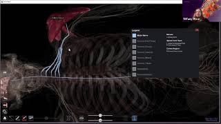 Physiology on the Anatomage Table [upl. by Lyford]