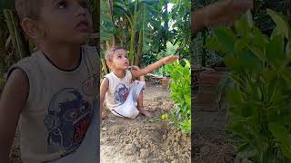 Planting tree by a 2year kids shorts ytshorts ronaldo [upl. by Tebzil]