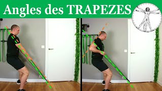 TRAPEZES Anatomie  TOUT pour les IMPACTER  🔥avec élastique [upl. by Aili]