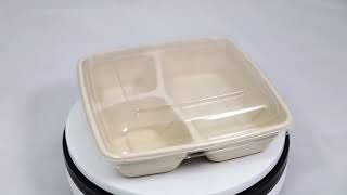 2019 New Arrivals  Ecofriendly Disposable Bamboo Pulp Food Container For Food Packaging [upl. by Wernher]