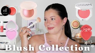 MY ENTIRE BLUSH COLLECTION 2024 [upl. by Irik]