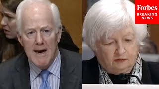 John Cornyn Brings Up Janet Yellens Past Statements Of Inflation Being Transitory To Her Face [upl. by Noreh]