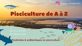 Le business en Afrique  La pisciculture de A à Z création dun bassin piscicole vente au marché [upl. by Anis]