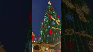 Look 👀 Amazing Big Christmas 🎄 Tree rockin around christmas tree viral trending lightsmusic [upl. by Redman]