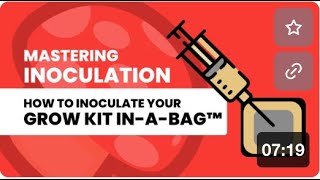 3 Complete Guide to Inoculating Your AllInOne Mushroom Grow Kit InABag™ [upl. by Ornas387]