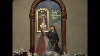 Saint Faustina Diary 25 inspiration saintfaustina catholic christian christianity god love [upl. by Annahsirhc]