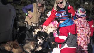 Winter in Big Sky Montana  Dog Sledding [upl. by Siduhey]