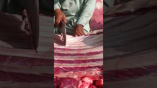 Chest so amazing Equal size cutting food cuttingskills [upl. by Athalee]