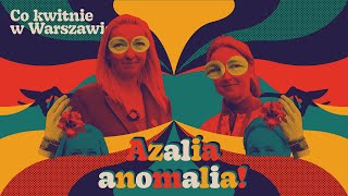 Azalia pontyjska kwitnie jesienią [upl. by Ahsele]