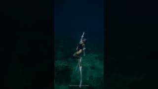 LORA freediving molchanovs underwaterphotography mermaid freediving [upl. by Alcott]