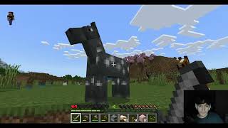 minecraft but its 3 frames per second ep1 [upl. by Akimet]