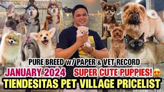 JAN 2024 UPDATED PET PRICE LIST IN TIENDESITAS PET VILLAGE🐶🐱🐾100LEGIT PURE BREEDS MUST WATCH [upl. by Zoha]