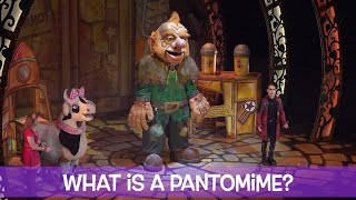 What is a Pantomime [upl. by Nyret263]