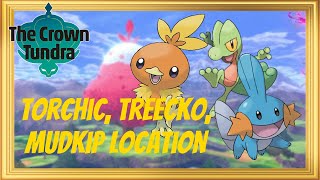 How to get Torchic Treecko and Mudkip in Pokémon Sword and Shield The Crown Tundra  Hoenn Starter [upl. by Quinby]