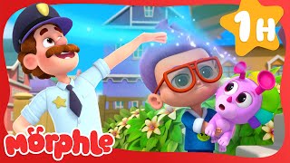 Magic Pet Talent Show  Mila and Morphle Cartoons  Morphle vs Orphle  Kids TV Videos [upl. by Melba]