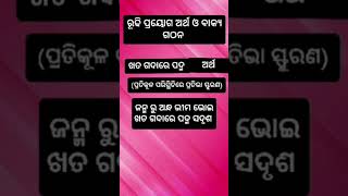 ରୁଢି ପ୍ରୟୋଗ ଓ ଅର୍ଥ odia grammar [upl. by Ahsikam866]