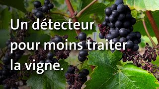 Un détecteur pour moins traiter la vigne [upl. by Eineeuq]