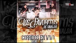 Los Favoritos De Sinaloa  Somos Sinaloenses En Vivo [upl. by Glenden166]