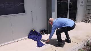 Queensland Snake Catcher Has Close Call With RedBellied Black Snake [upl. by Aiynat]